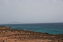 Kanary_2010 060